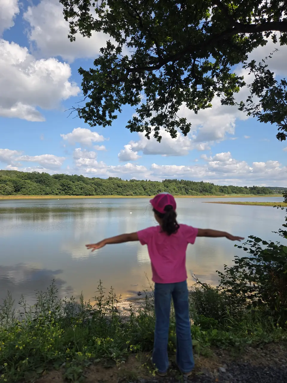 Dreifelder Weiher