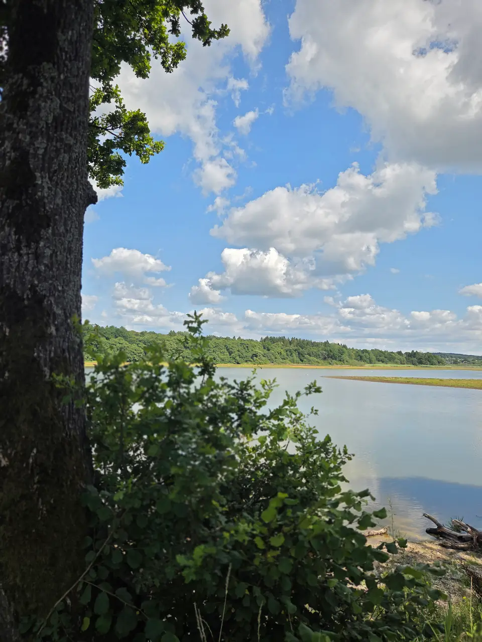 Dreifelder Weiher