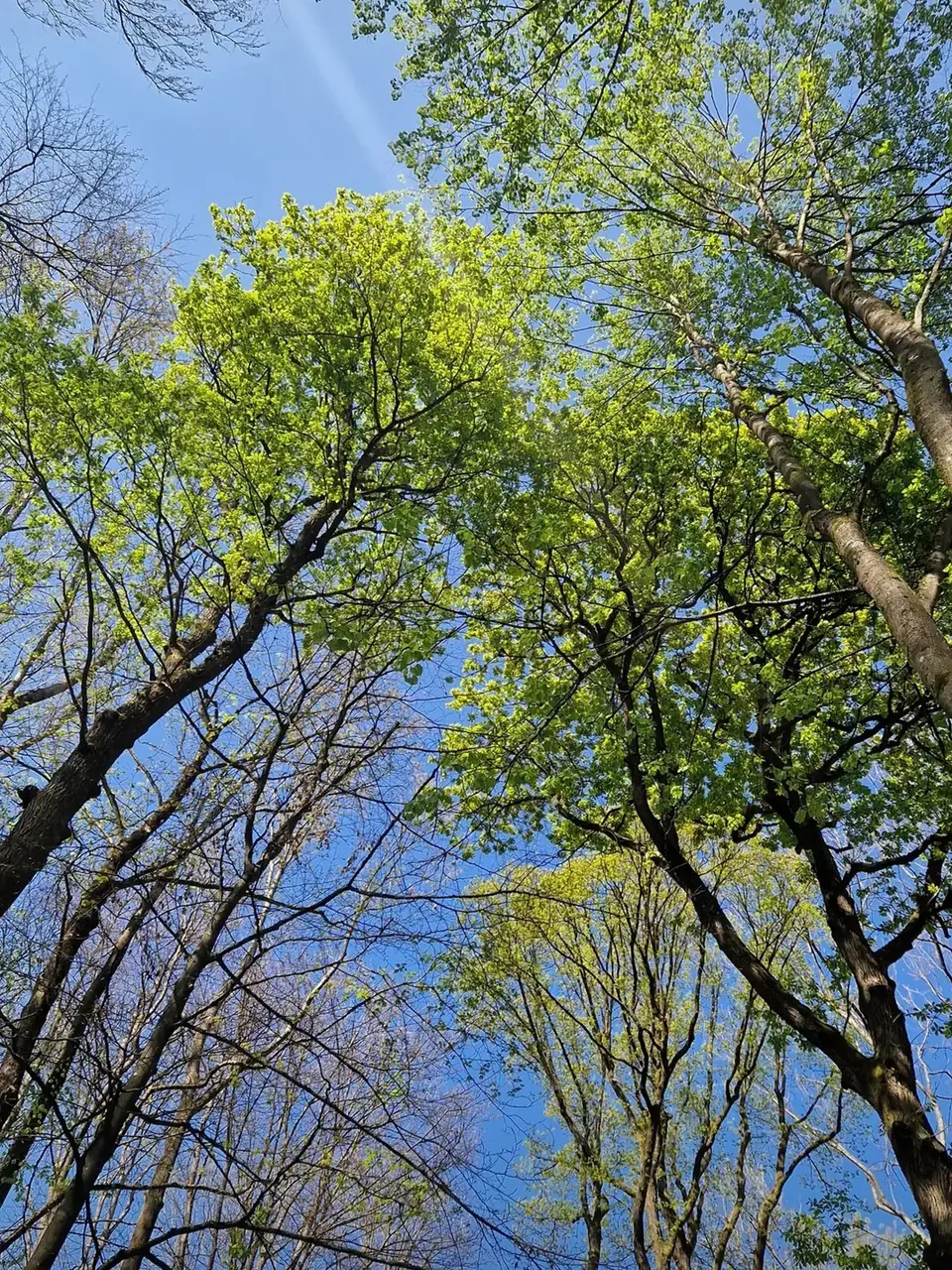 Tier- und Pflanzenpark Fasanerie Wiesbaden