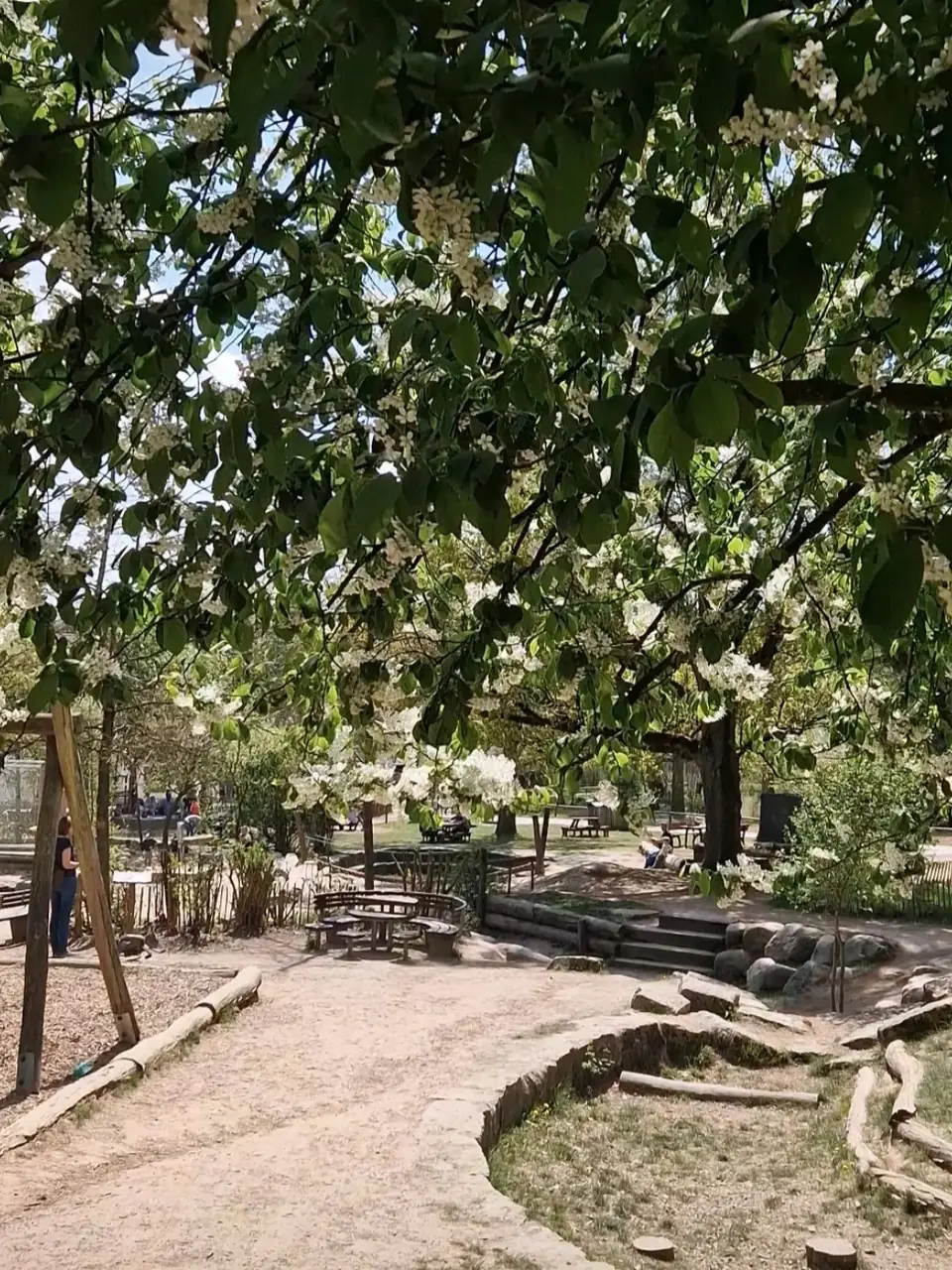 Tier- und Pflanzenpark Fasanerie Wiesbaden