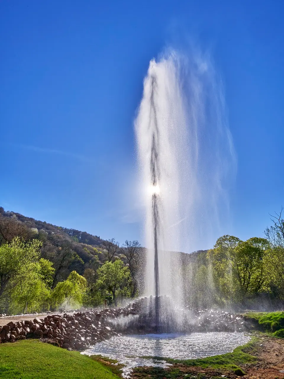 Geysir Andernach