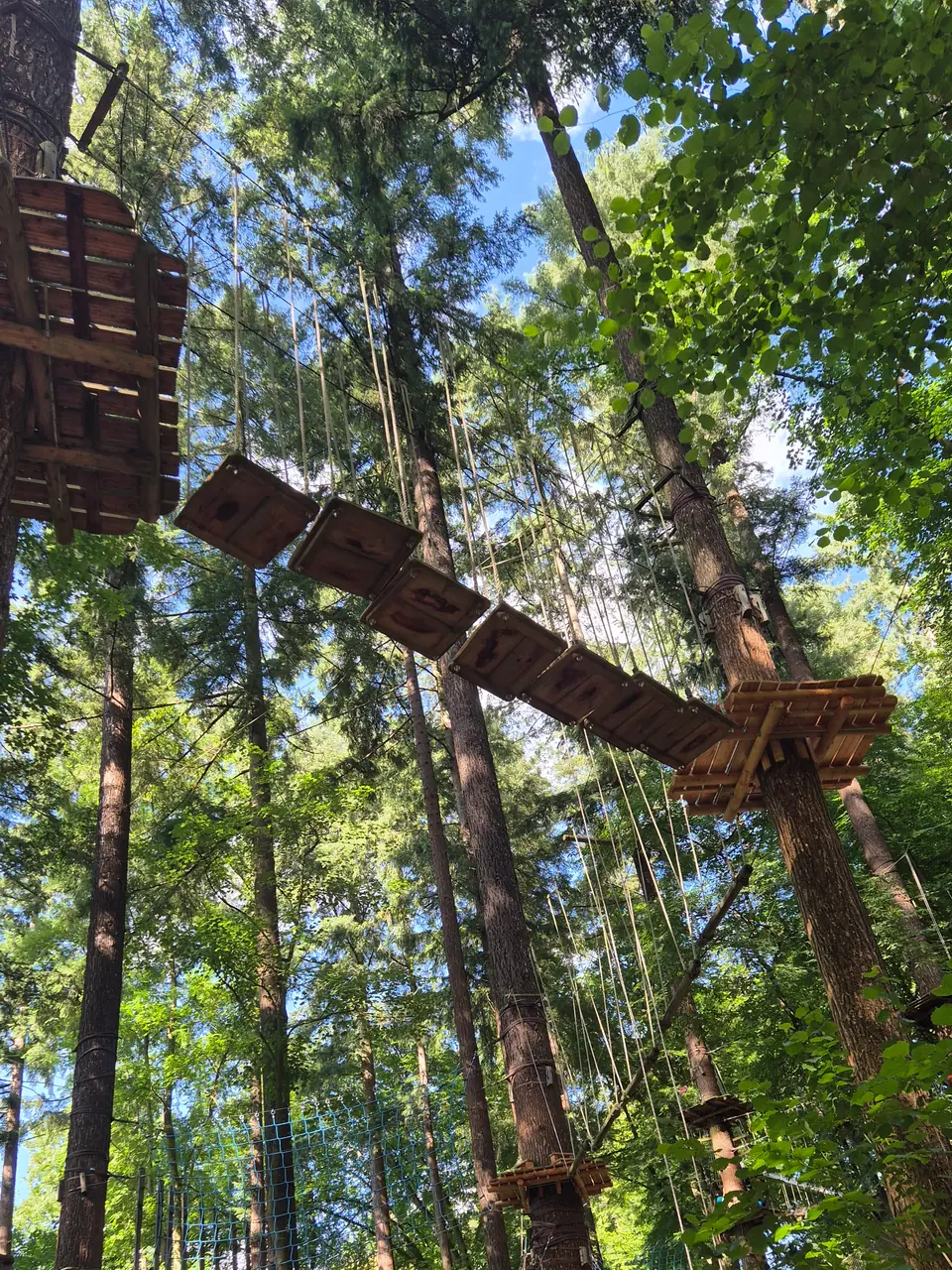 Kletterwald Sayn
