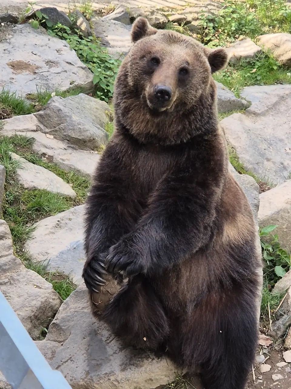 Wild- & Freizeitpark Klotten / Cochem