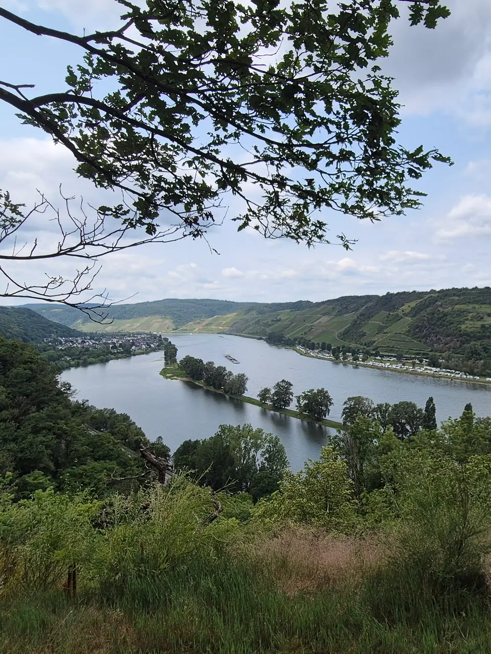 Langhalsweg