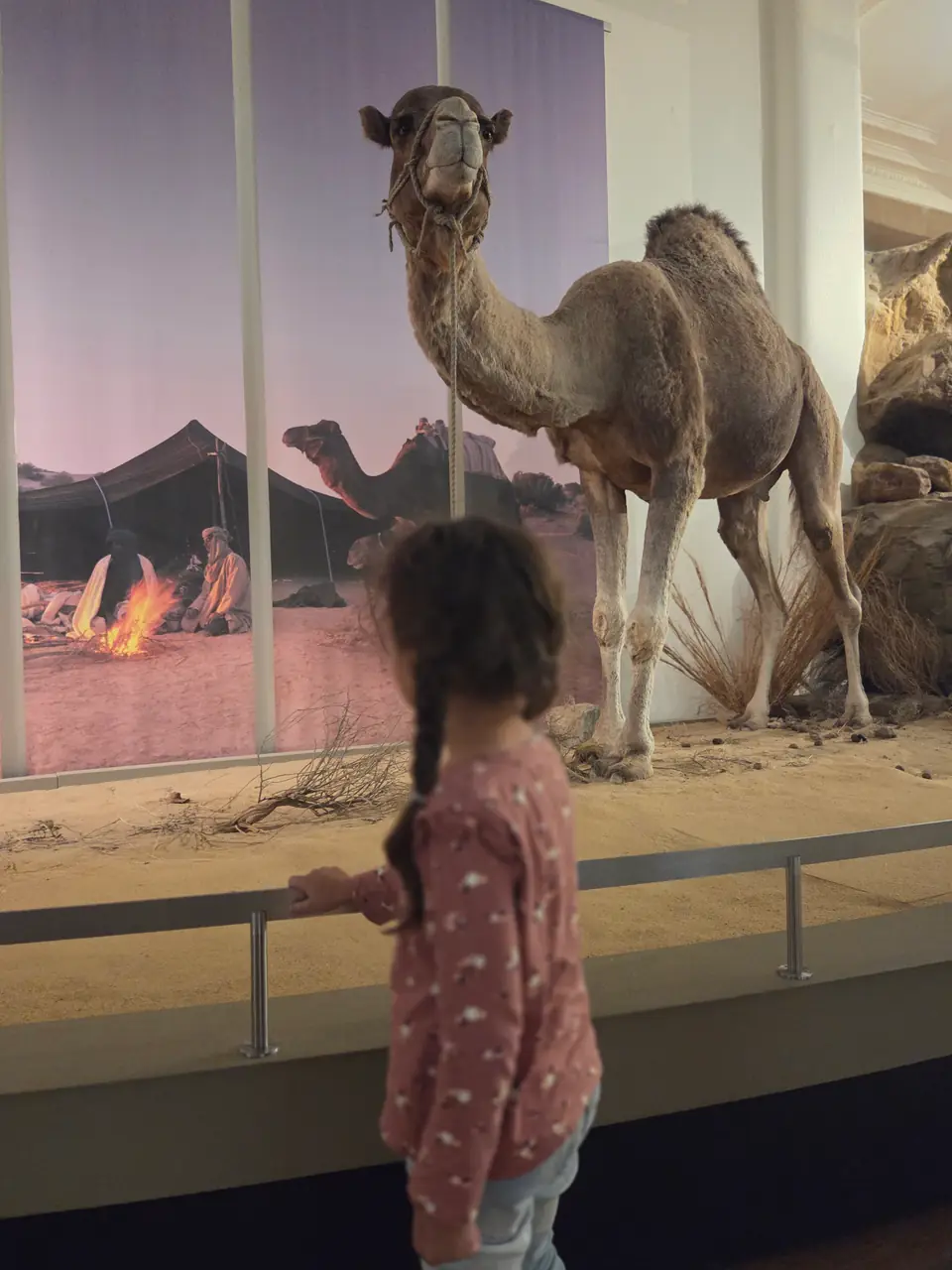 Museum Koenig Bonn