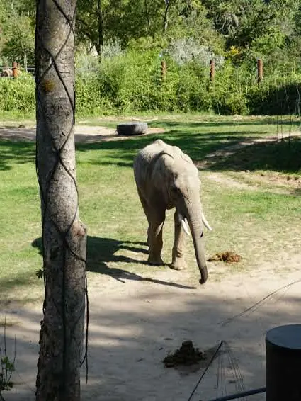 Opel-Zoo