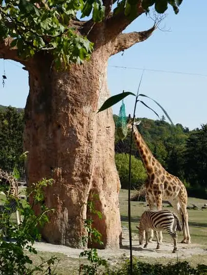 Opel-Zoo