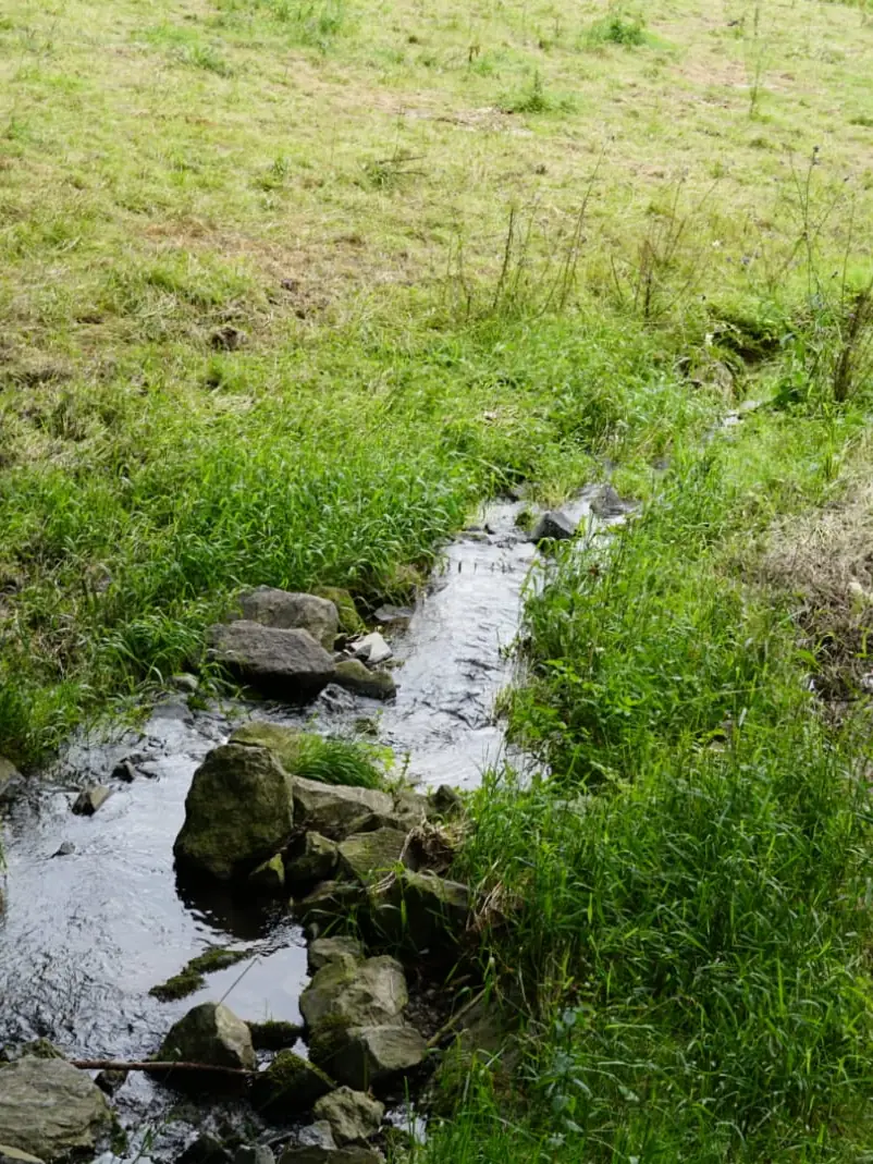Roter Zwergenweg Rengsdorf