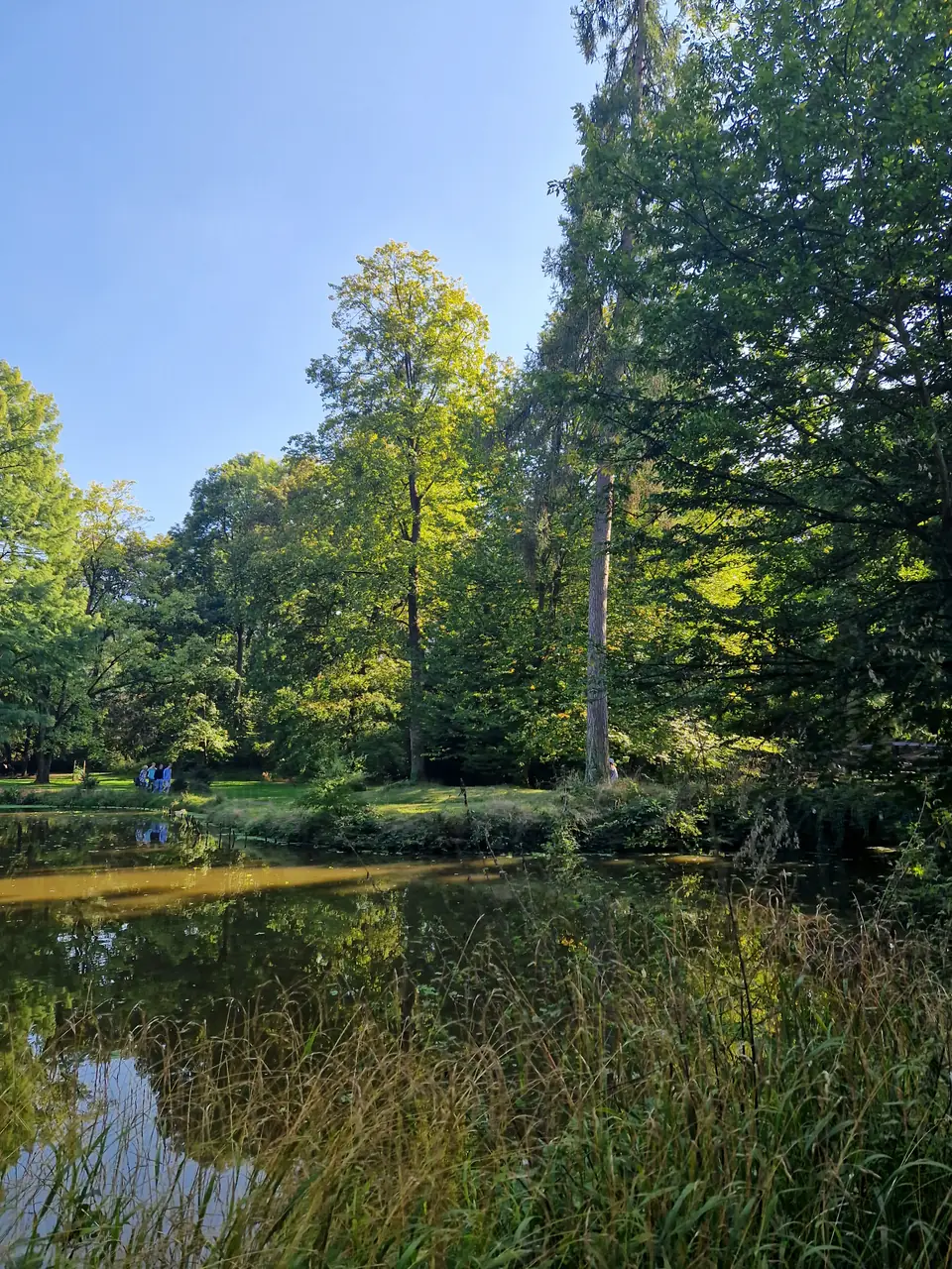 Schlosspark Bendorf-Sayn