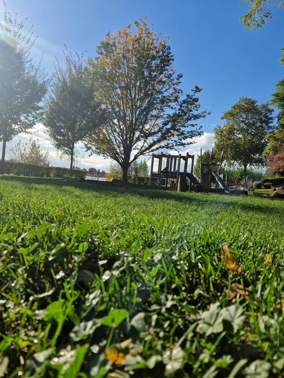 Spielplatz Michaelspark Rheinwiese