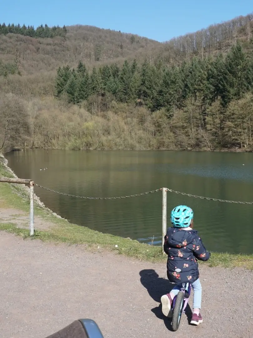 Stausee Schwanenteich