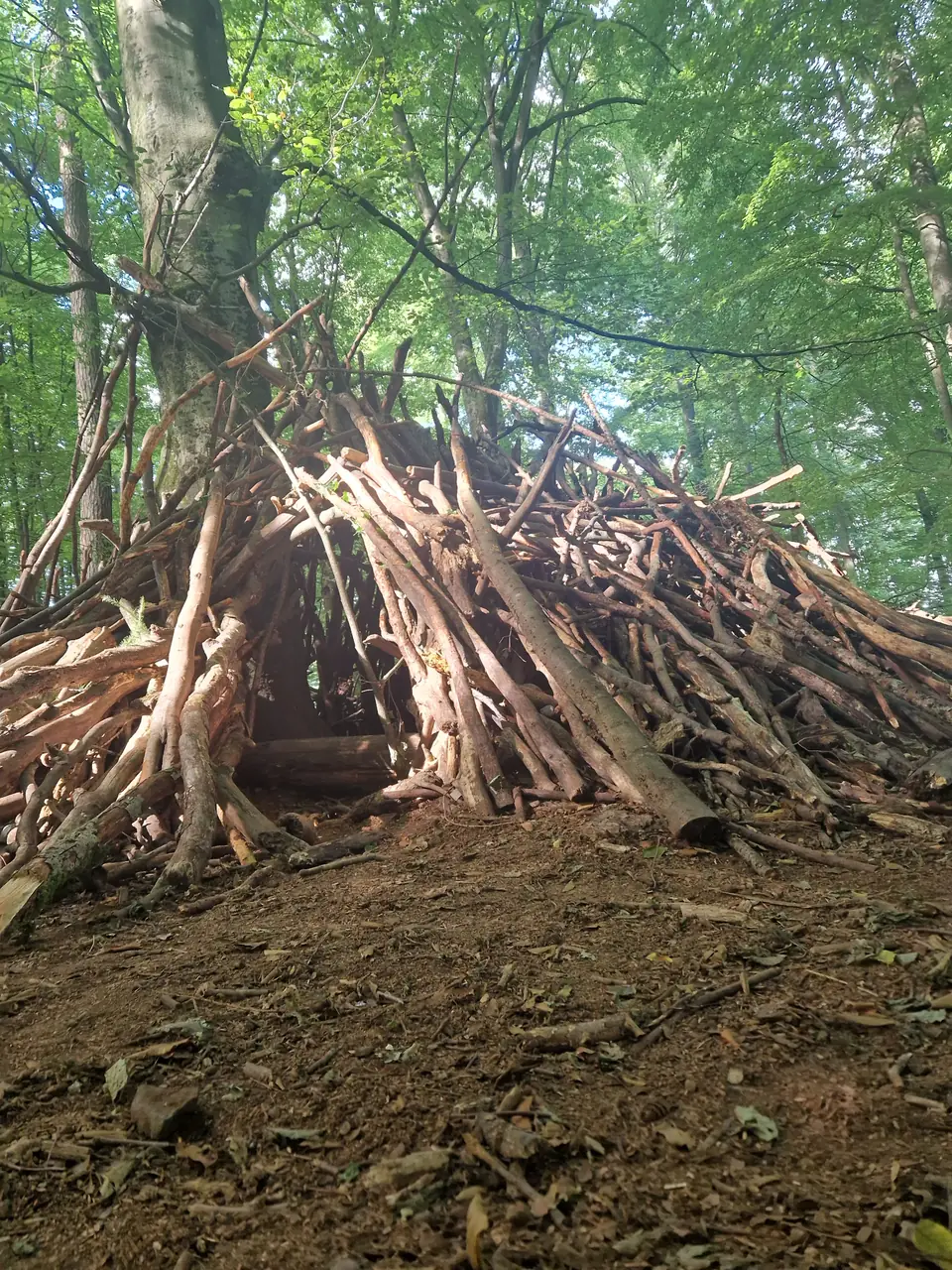 Waldspielplatz Horressen