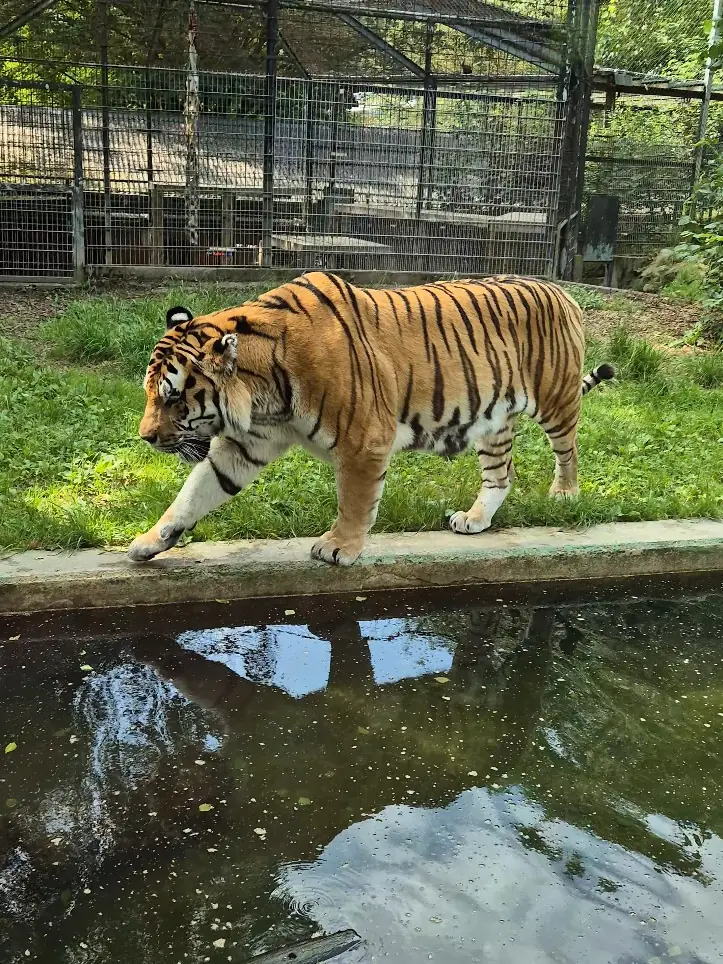 Zoo Neuwied