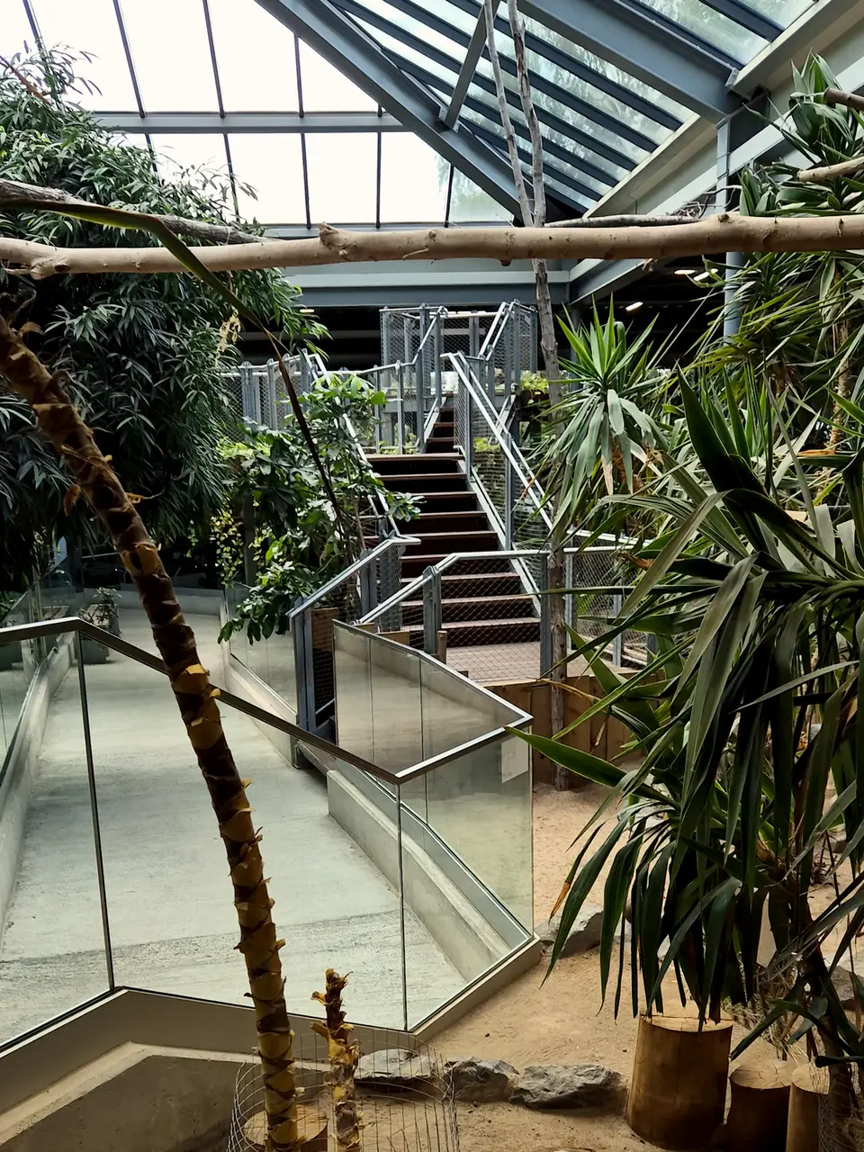 Zoo Neuwied